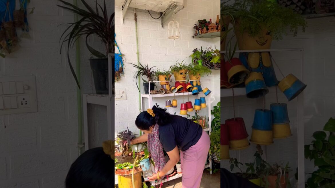 #shorts #gardening #plants #garden #homegarden #diy#balconygarden #flowers #gardeningtips