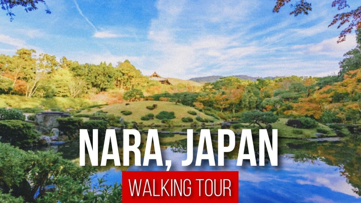 Japanese Garden Walk in Nara Nature Sounds | Yoshikien & Isuien Garden Japanese Garden Walk in Nara Nature Sounds | Yoshikien & Isuien Garden