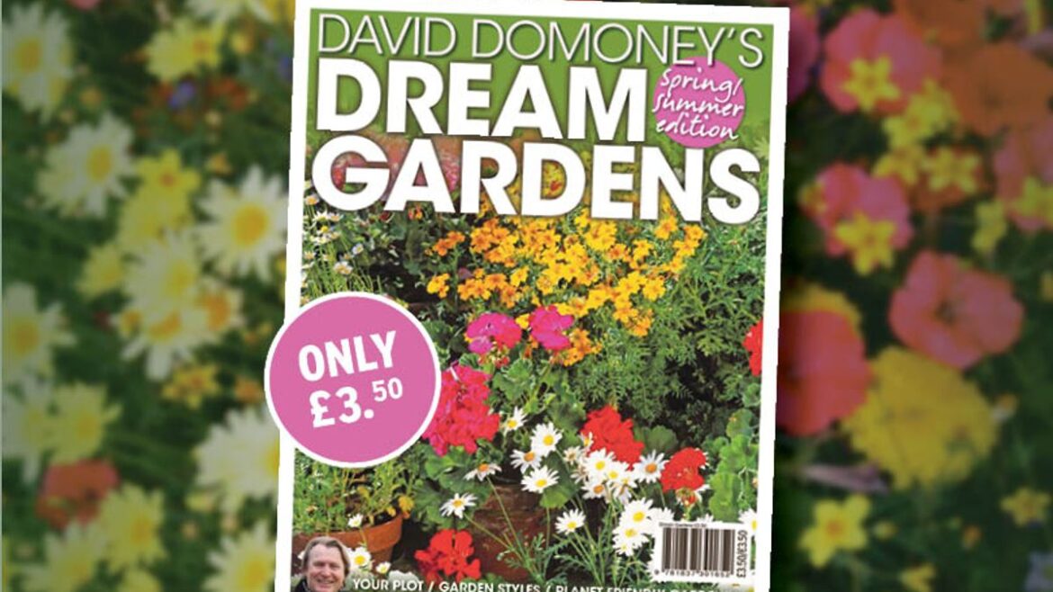 Step Into Spring: Transform Your Garden with David Domoney’s Dream Gardens Spring/Summer Special Daily Mirror