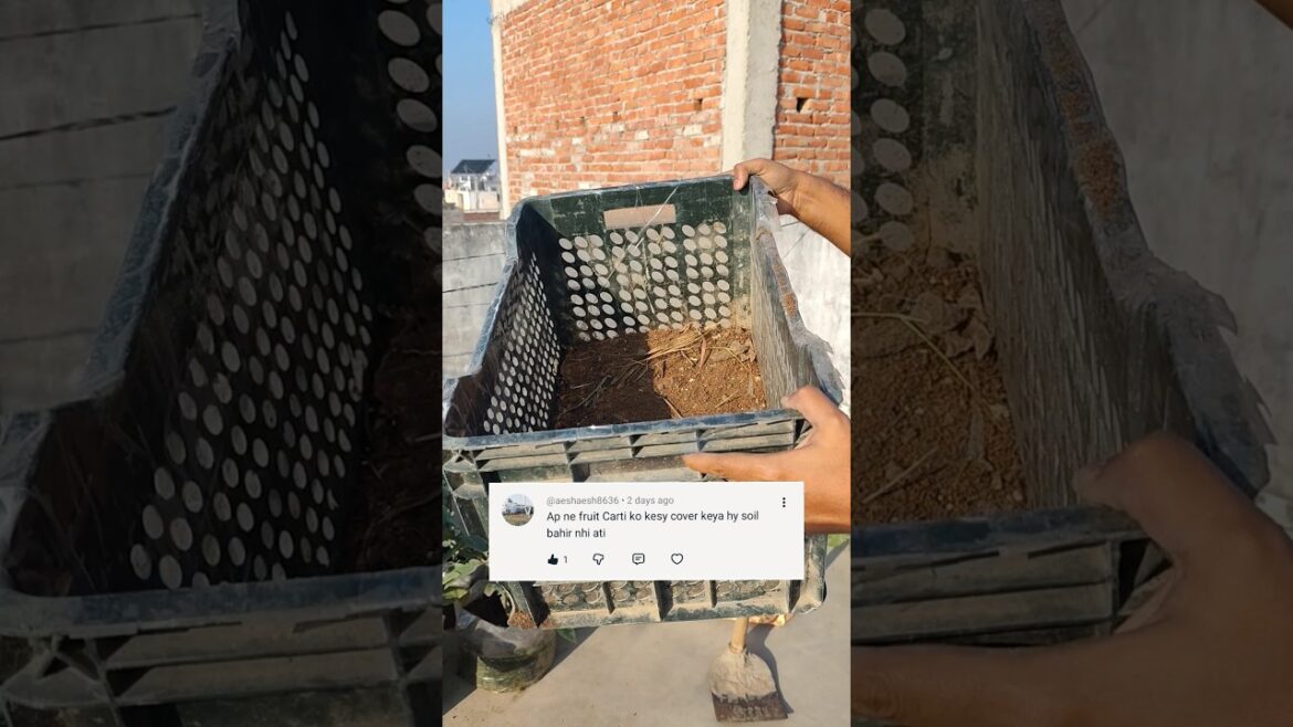 How to Turn a Vegetable Crate into a Grow Bag | DIY Gardening Hack | Jeet Vlog 3.0 How to Turn a Vegetable Crate into a Grow Bag | DIY Gardening Hack | Jeet Vlog 3.0