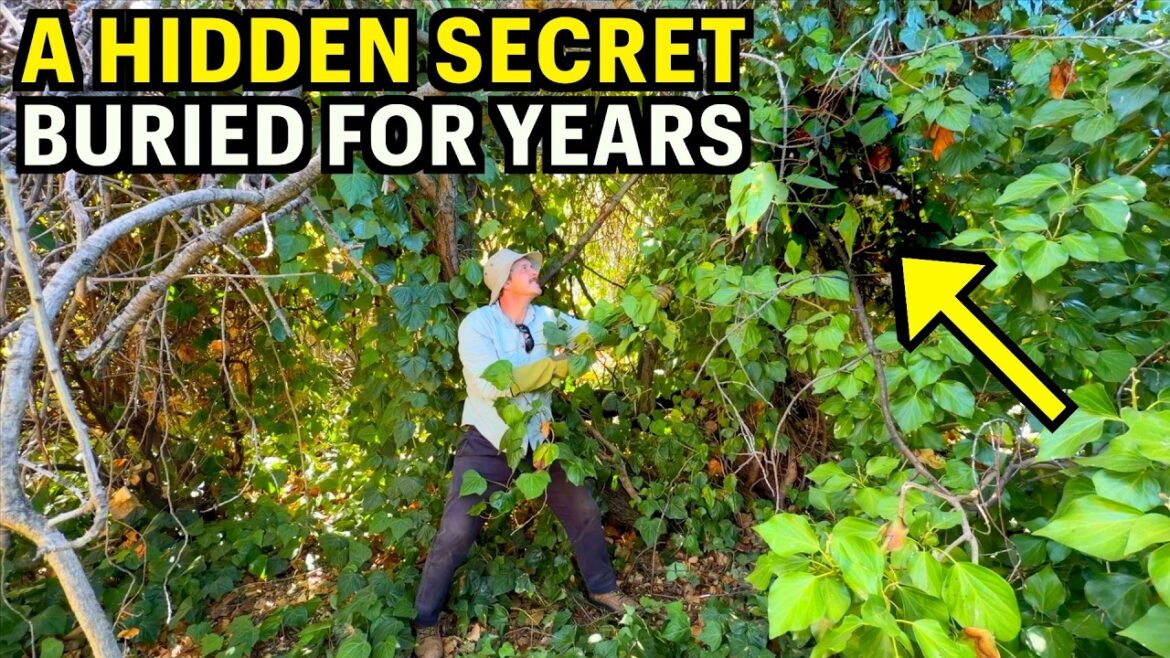 The Most Insane Backyard Discovery Yet – You Won’t Believe His Reaction The Most Insane Backyard Discovery Yet - You Won’t Believe His Reaction