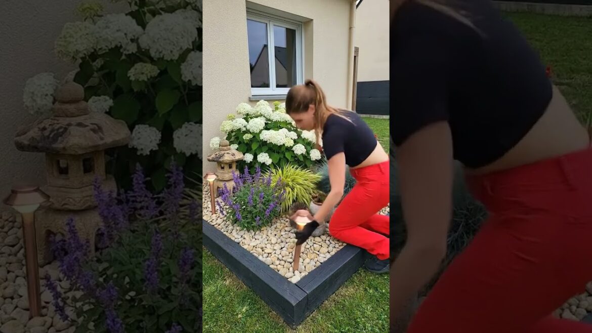 🌿 Backyard Glow Up with Simple Landscaping Ideas 😍