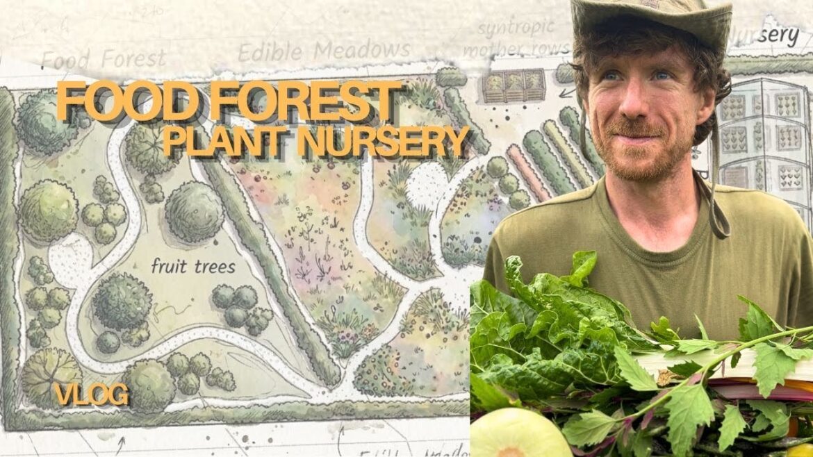 Plans For A 1/2 Acre Food Forest Plant Nursery