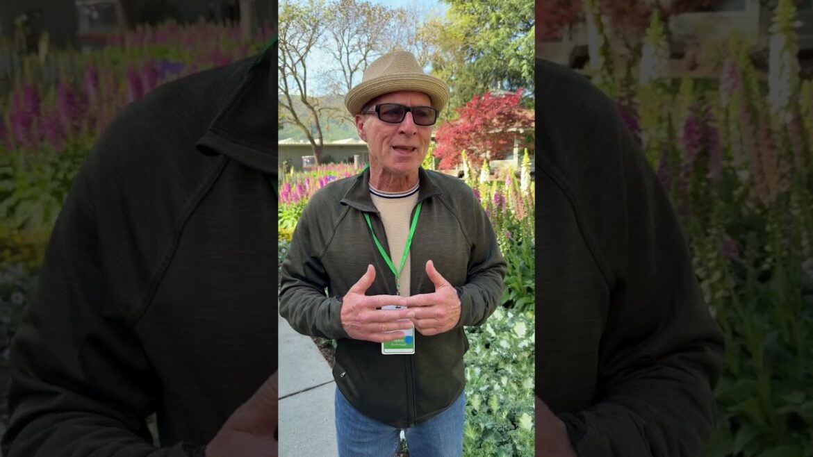 Mark Fortmeyer on Why He Attends CAST