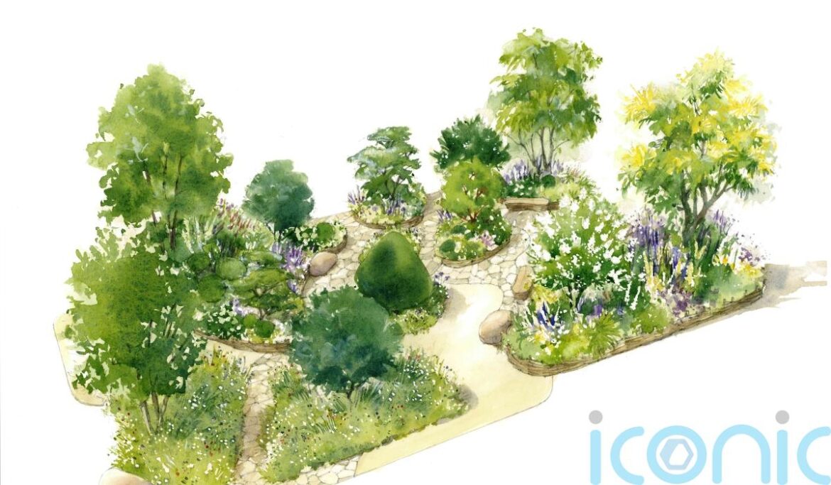 Garden designed with King for RHS flower show inspired by patterns in nature