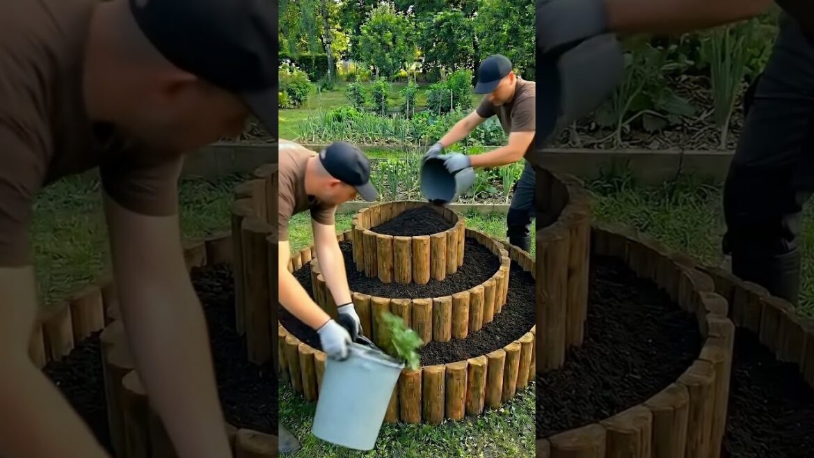 DIY Tiered Garden Bed: The Ultimate Space-Saving Idea! ππΏ DIY Tiered Garden Bed: The Ultimate Space-Saving Idea! ππΏ