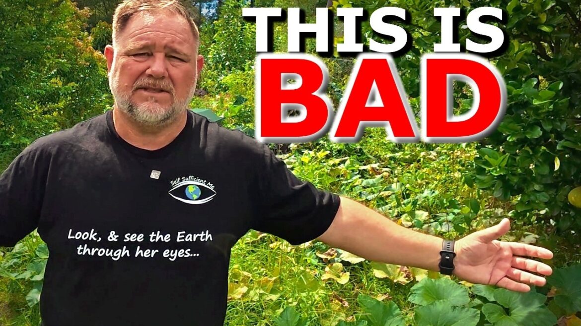 My Garden Has Never Been This BAD… My Garden Has Never Been This BAD...