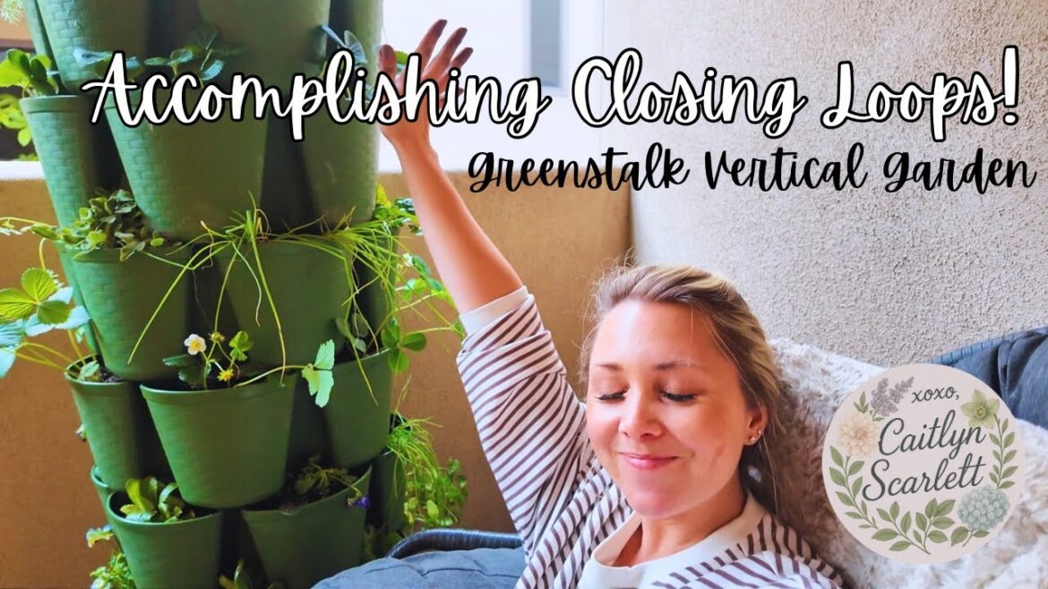 My Kitchen Garden Creation & Do I Have WAYYY too many plants?! 🥬🌿🥕🪴 My Kitchen Garden Creation & Do I Have WAYYY too many plants?! 🥬🌿🥕🪴
