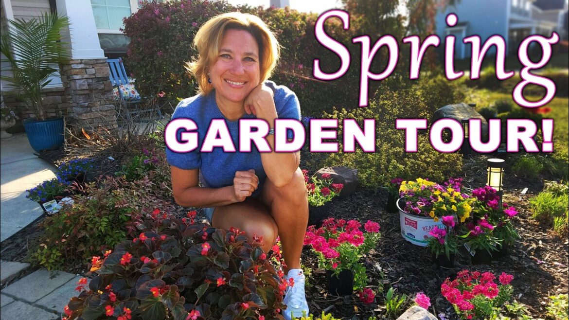 Full-Sun Front Yard Garden Tour | March in My Carolina Garden Zone 8B