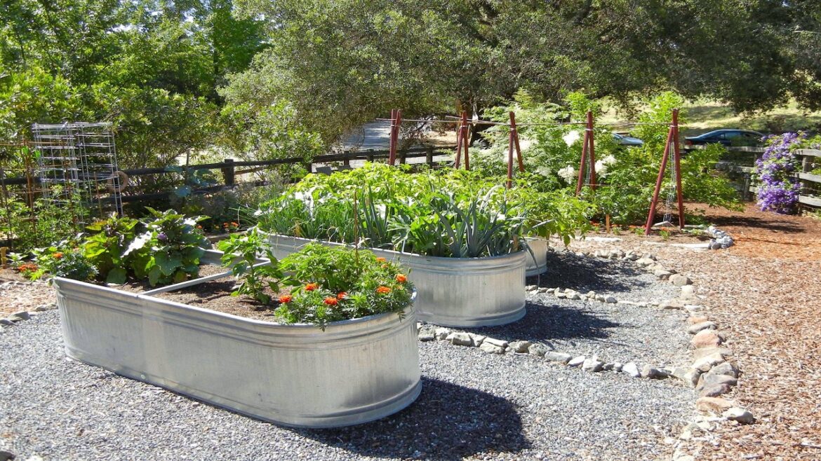PATIO CONTAINER VEGETABLE GARDEN IDEAS | 10 GENIUS CONTAINER GARDEN DESIGNS FOR A LUXURY PATIO VIBE!
