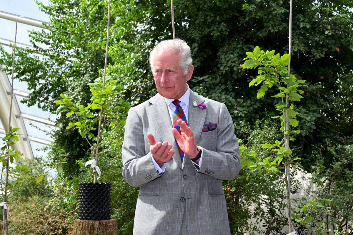 LLANARTHNE - JULY 06: Prince Charles, Prince of Wales clapping during a visit to the National Botanic Garden of Wales on July 06, 2022 in Llanarthne, Wales. As part of the Welsh government’s contribution to the Queens Platinum Jubilee, oak saplings which were felled by a storm in 2013 are being propagated and replanted. The Prince of Wales has been Patron of the National Botanic Garden of Wales since 2000. The Botanic Garden occupies a unique position within Wales as a botanic garden within a Registered Historic Parkland, it is a registered charity committed to the well-being of people, plants and the planet through Conservation, Inspiration and Education. The Prince of Wales and Camilla, Duchess of Cornwall are undertaking engagements for Wales Week 2022. (Photo by Matthew Horwood - Pool/Getty Images)