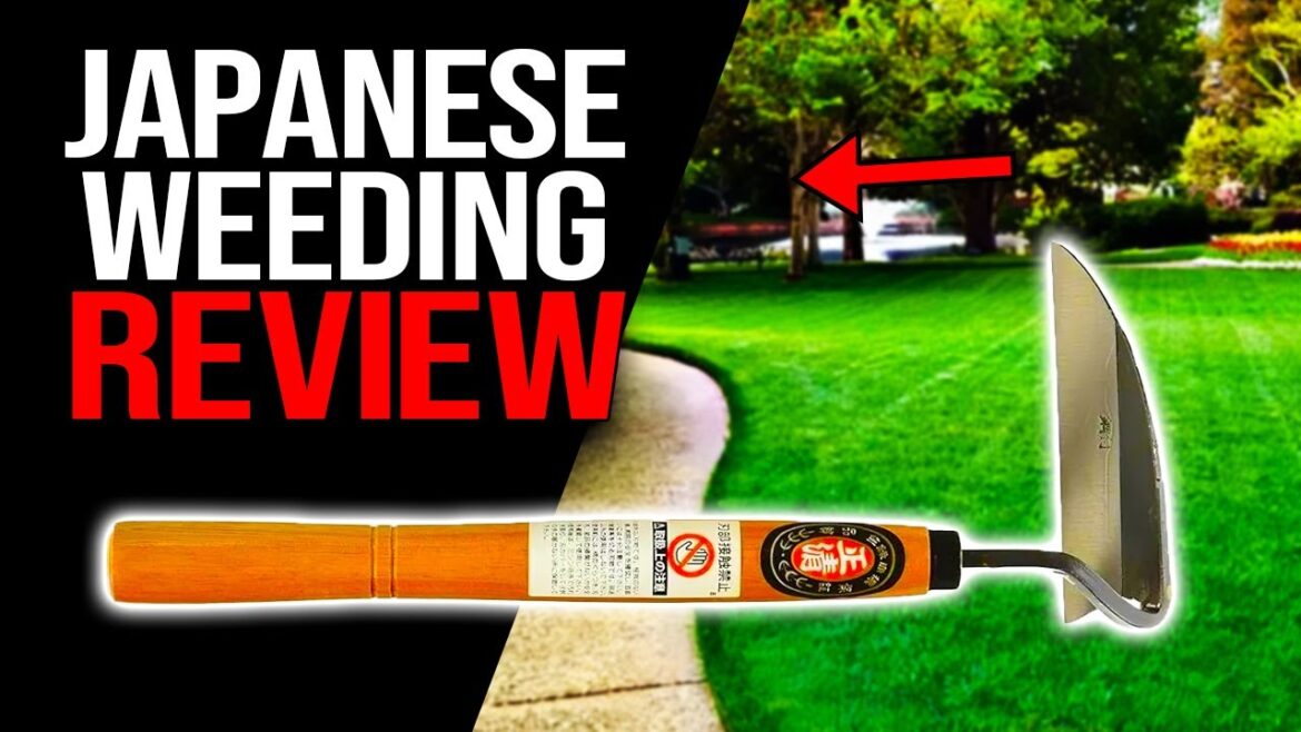 Japanese Weeding Sickle Very Sharp Edge Quick Work (Full Size) Tool | Review Japanese Weeding Sickle Very Sharp Edge Quick Work (Full Size) Tool | Review