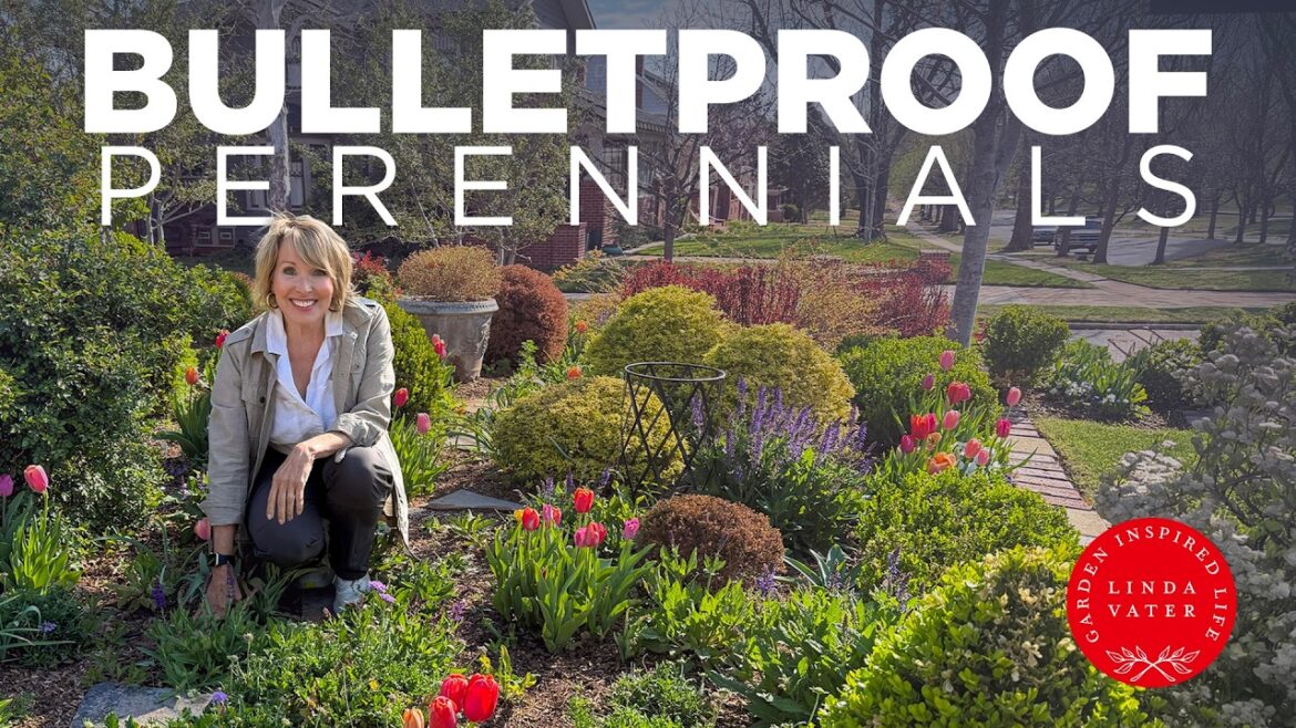 7 Bulletproof Perennials for a Dreamy Cottage Garden Linda Vater 🌿 7 Bulletproof Perennials for a Dreamy Cottage Garden Linda Vater 🌿