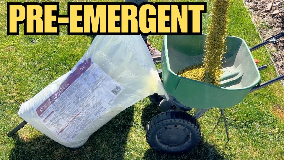 How I Prep My Lawn for Spring | Pre-Emergent Application (Prodiamine)