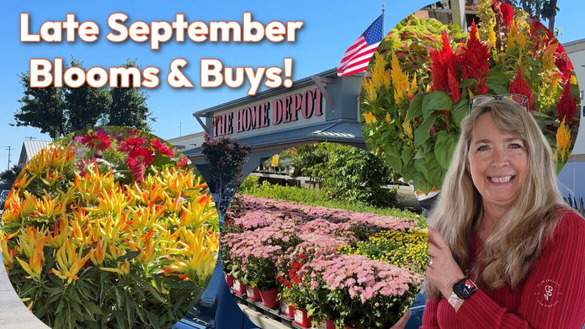 September Home Depot Garden Shopping – Drip Irrigation Supplies September Home Depot Garden Shopping - Drip Irrigation Supplies