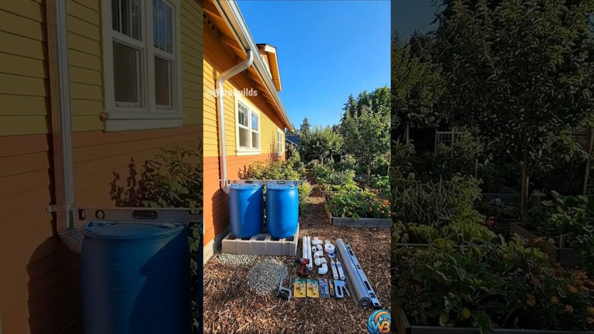 DIY Rain Barrel System Timelapse (Before & After) #diy #backyard #gardendesign #transformation