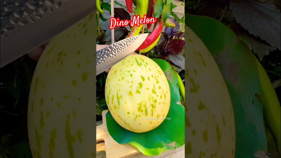 Fruit cutting Melon Dino😱 #shorts #satisfying #fruit #enjoy #garden