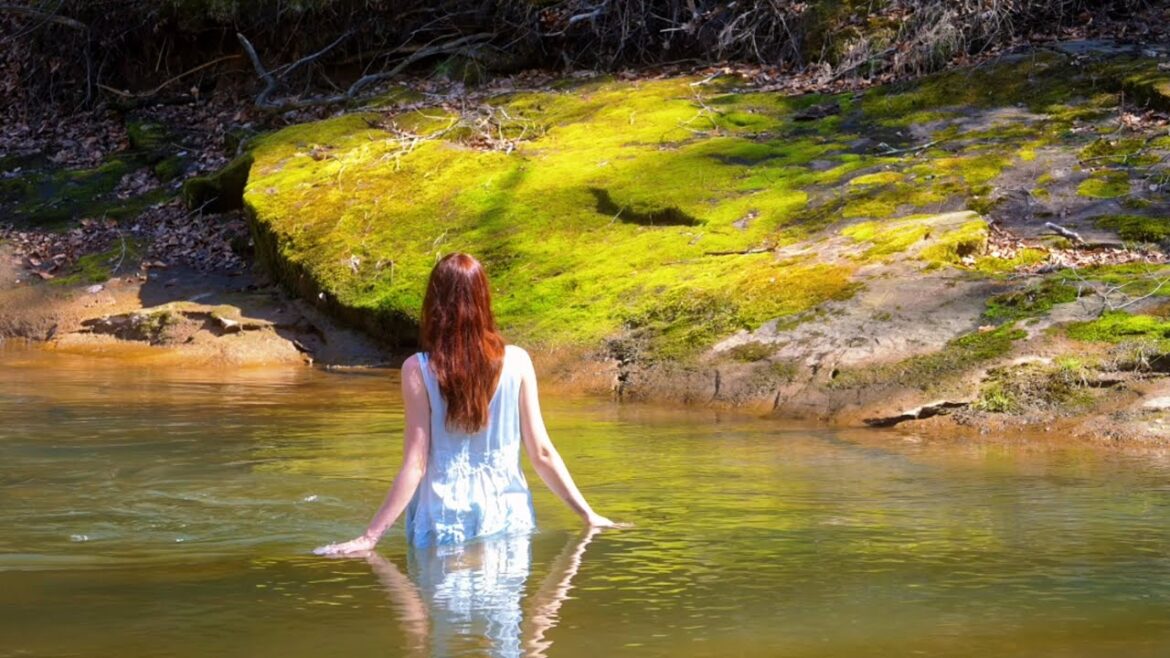Healing in nature🕊️ Learning to live slowly & regulate my nervous system | A cozy spring vlog