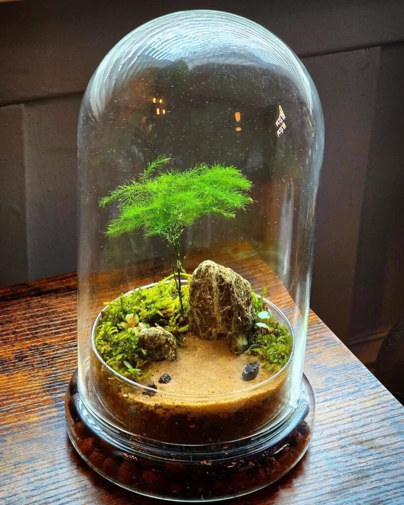 Sandy Beach Terrarium Sandy Beach Terrarium