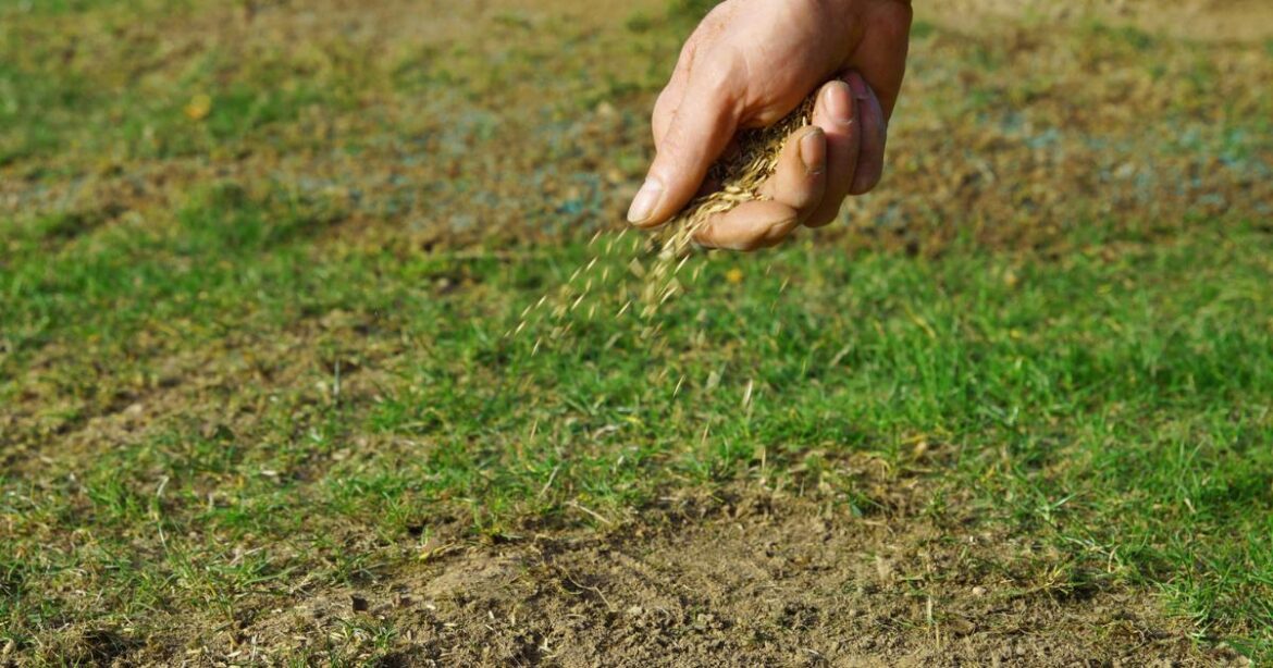 Gardeners told to keep this rubbish to help plants grow Gardeners told to keep this rubbish to help plants grow