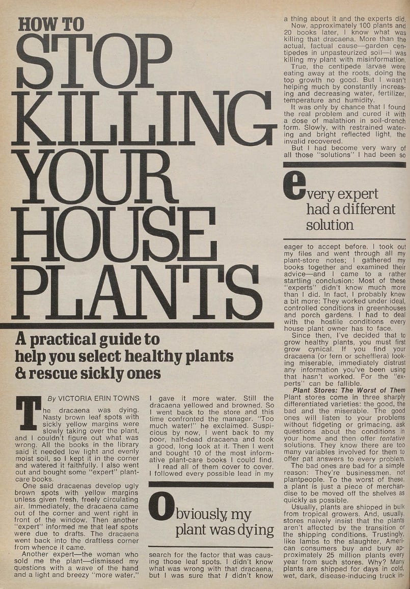 guide on caring for houseplants