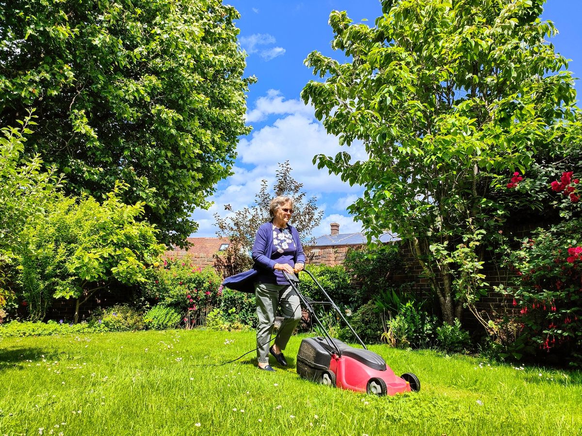Using this one product could get your grass growing thicker