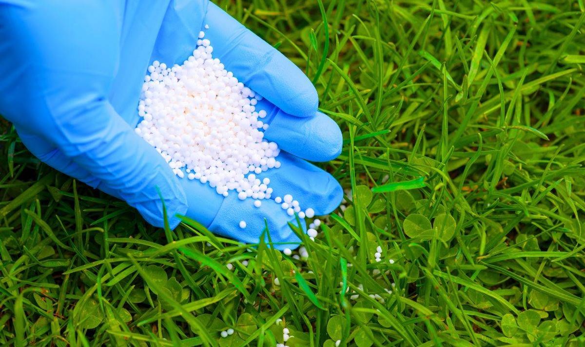 Anyone with a lawn needs to pour 1 simple item on the grass as soon as possible