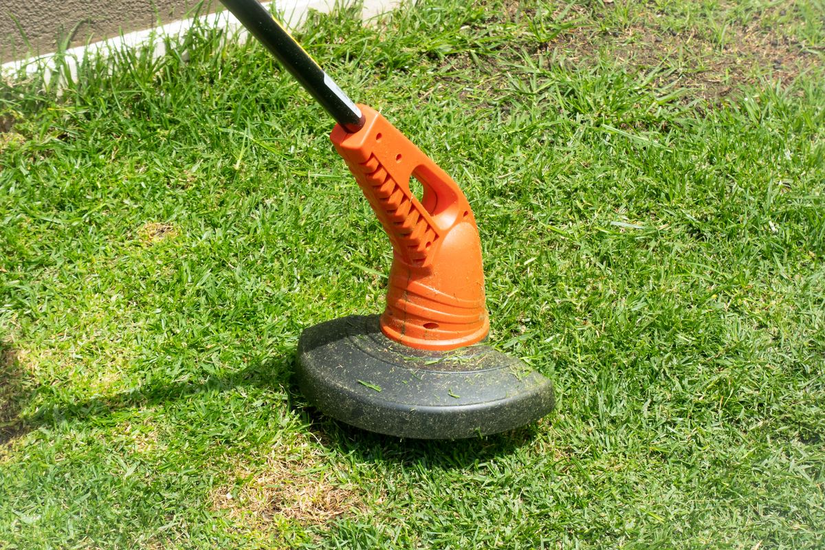 Man is Cutting the Grass with a Mowing Machine