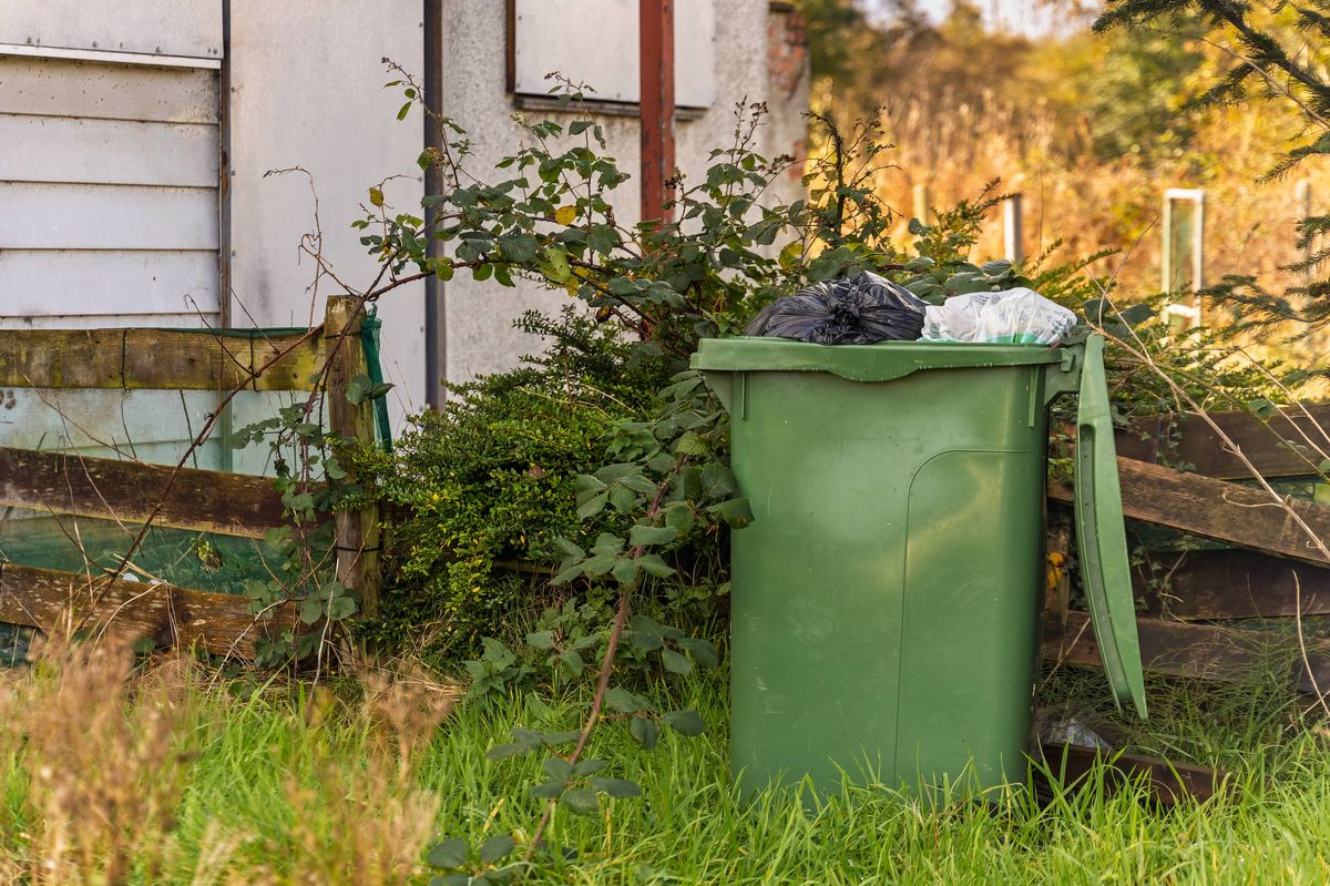 Green wheelie bin with an open lid and overflowing rubbish bags stands in an overgrown garden beside an old wooden fence