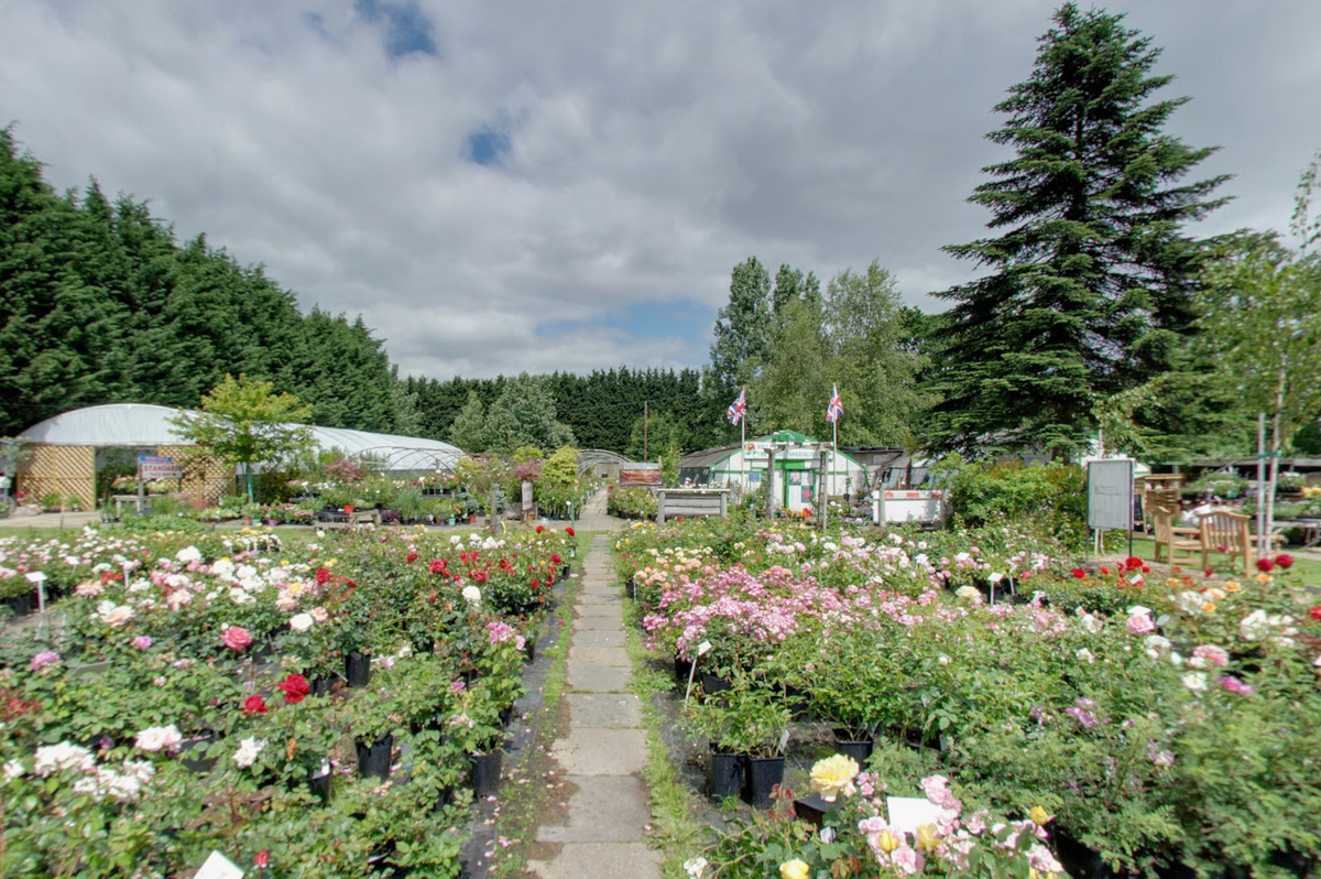 Hill Park Roses Garden Centre in Long Ditton first opened in 1969, but throughout the last year its future has been in the balance
