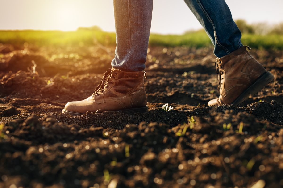 Closeup view of legs in boots walking on the fertile soil at sunset