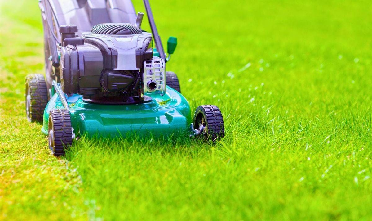 Picture of a green and healthy lawn