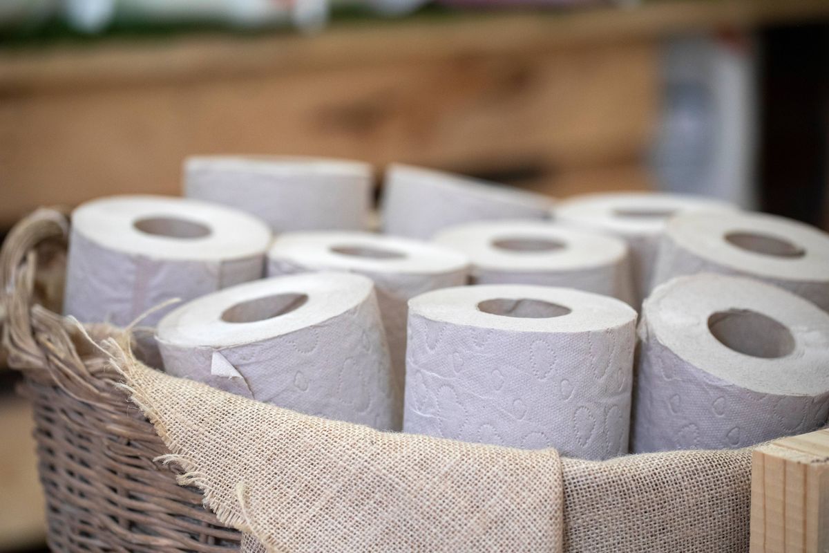 toilet paper rolls