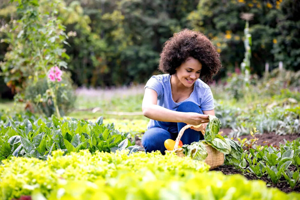 Struggling to Sleep? Spending Time in the Garden Might Help, Study Finds Struggling to Sleep? Spending Time in the Garden Might Help, Study Finds