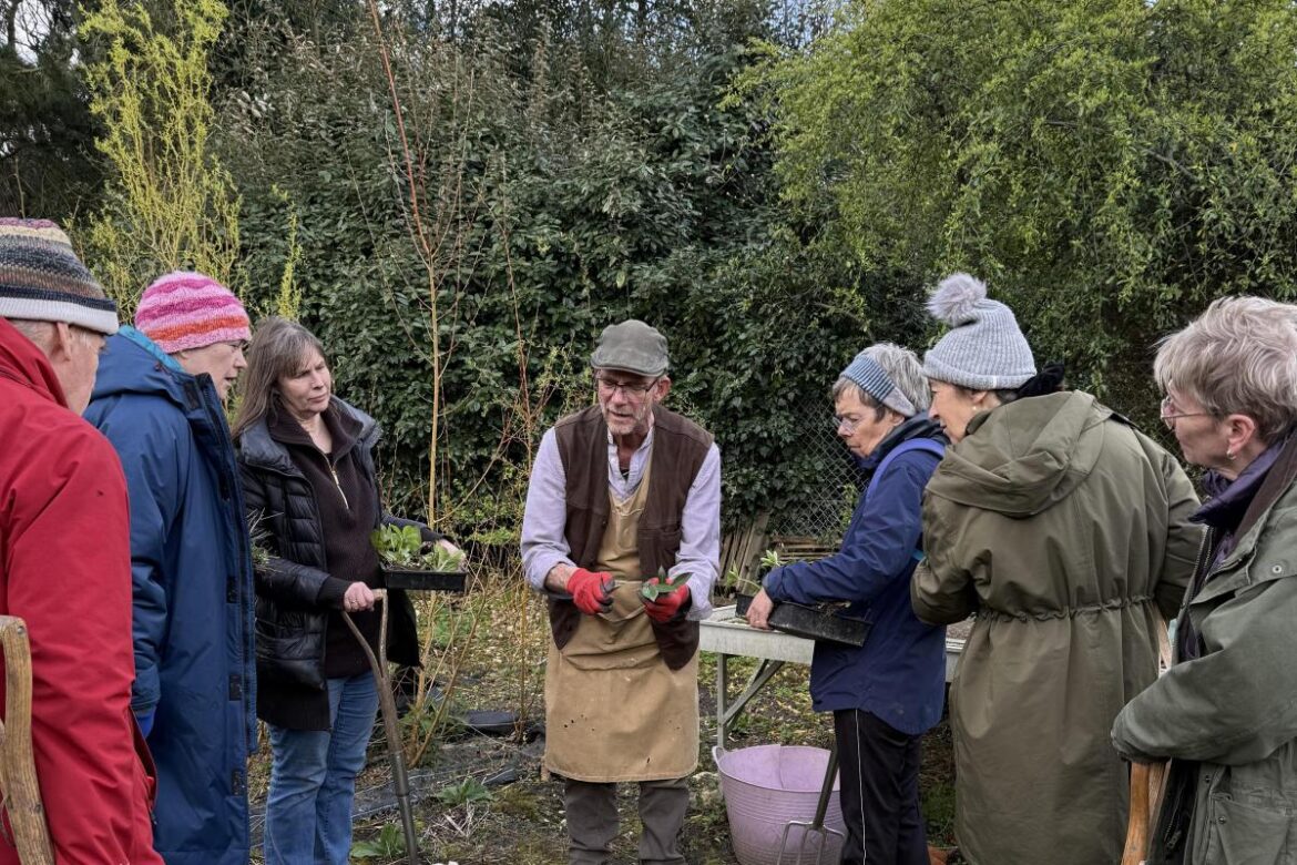 What does a great gardening week look like?