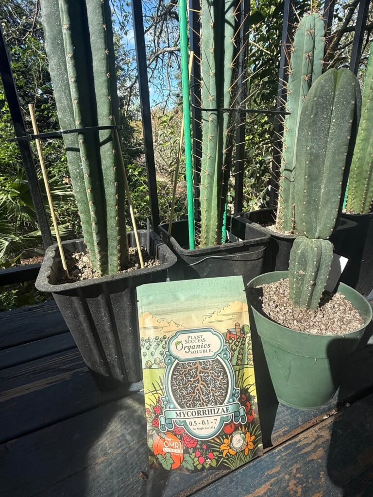 Thoughts on mycorrhizae and bacteria for cacti? Thoughts on mycorrhizae and bacteria for cacti?