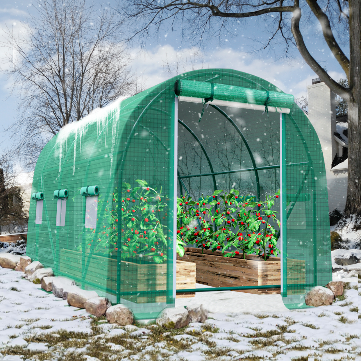 How to Start Greenhouse Gardening