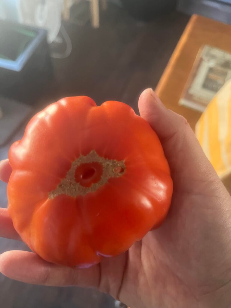 Any idea what variety?