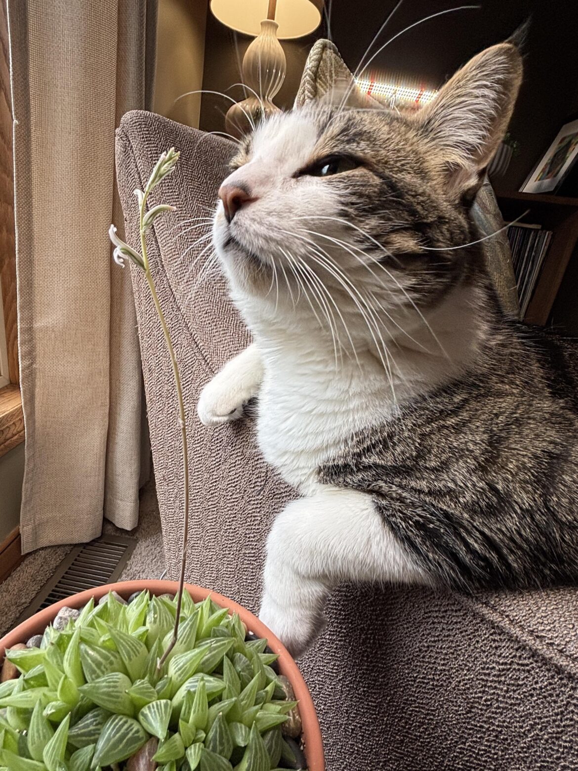 Take time to smell the flowers…