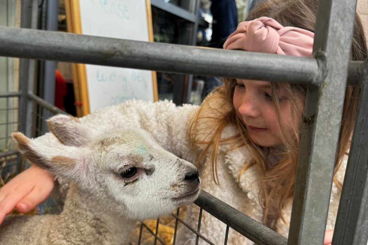 Popular Warrington garden centre to host packed programme of activities this Easter