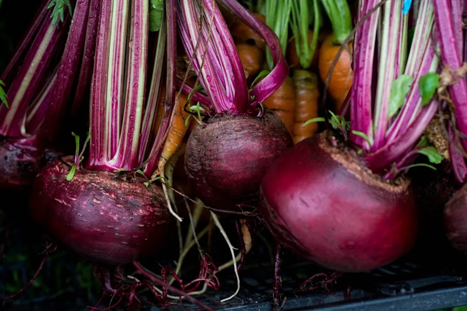 Credit: Crispin la valiente/Getty Images