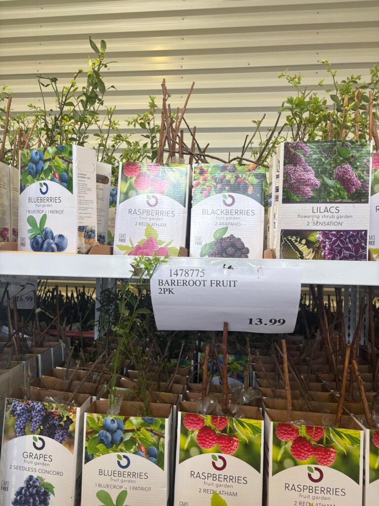 Are these good to get?