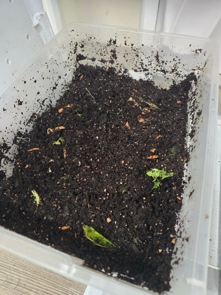 At what point do you stop adding to a bin? These are 4,3 and 2 month old bins