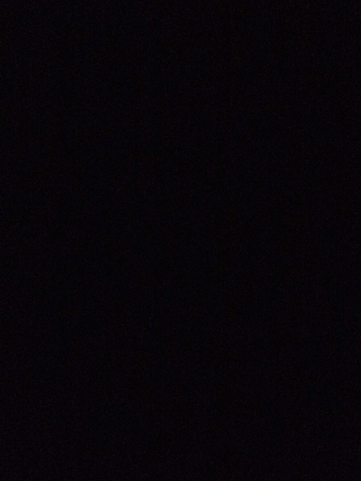 Is this too much light for my snake plant?