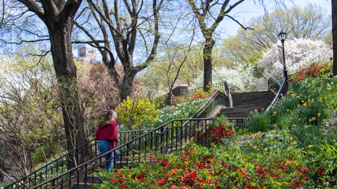 Gardening at Ralph Ellison Memorial