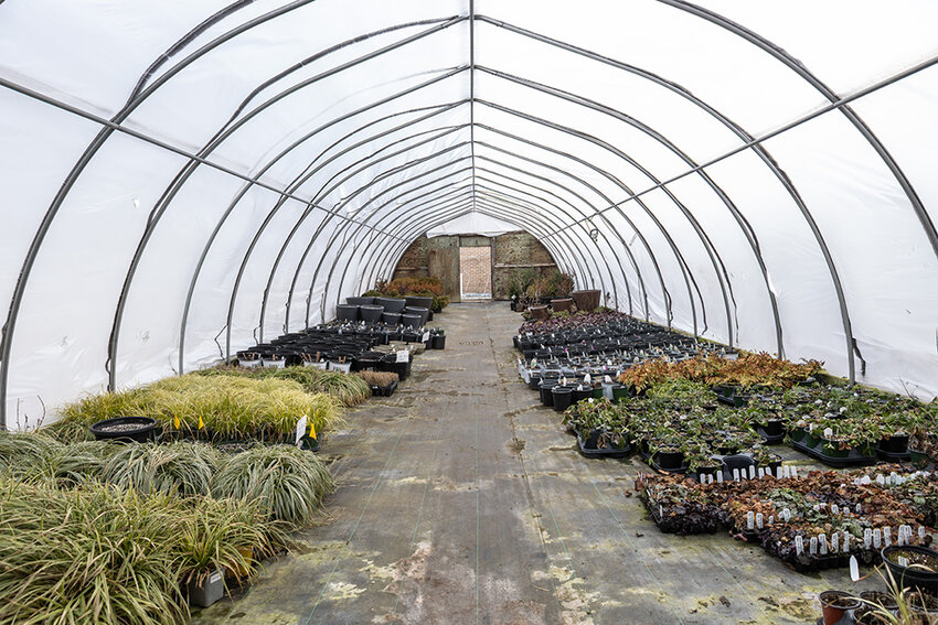 Michigan State University Department of Horticulture greenhouses.