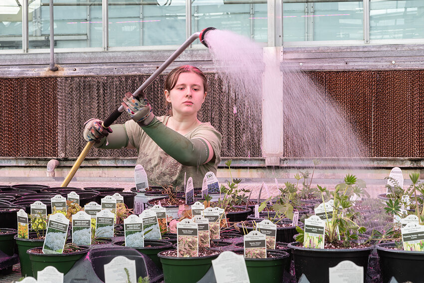 Michigan State University Department of Horticulture greenhouses.