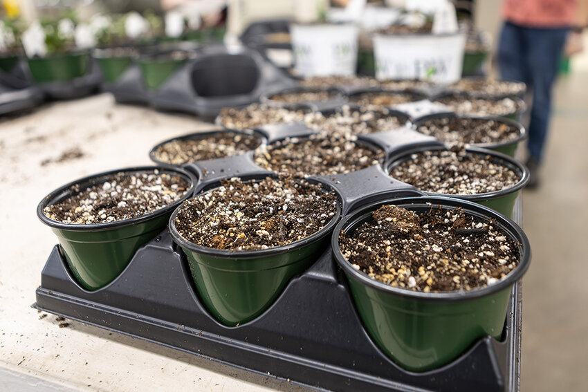 Michigan State University Department of Horticulture greenhouses.