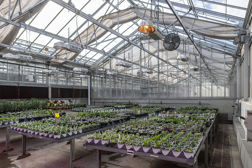 Michigan State University Department of Horticulture greenhouses.