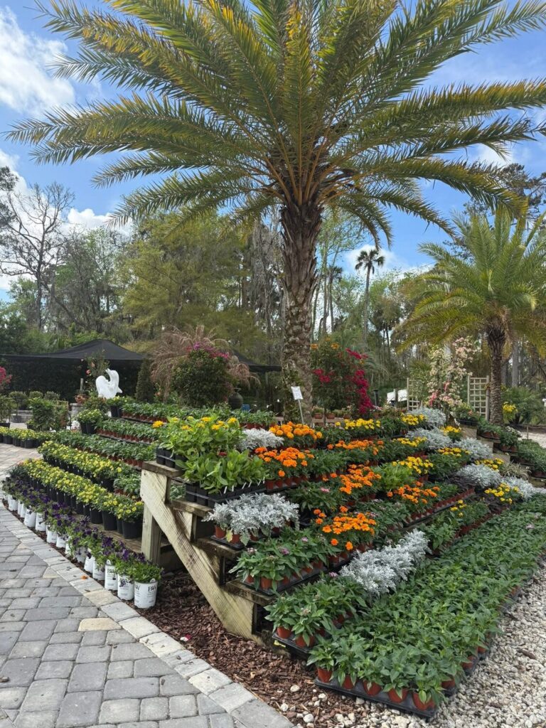 Kathy’s Gardening Guide: Ready, Set, PLANT! Kathy’s Creative Gardens & Nursery